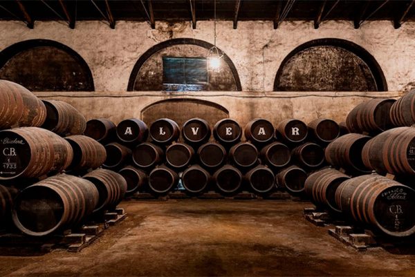 Bodegas Alvear