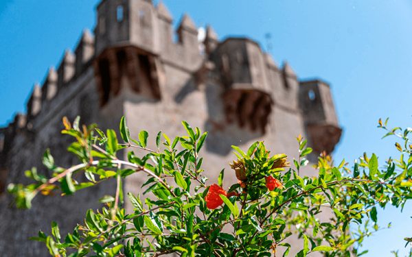 Castillo de Almodóvar - Imagen 6