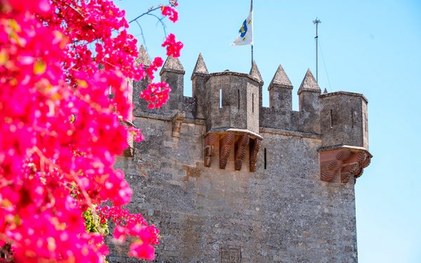 Castillo de Almodóvar - Imagen 16