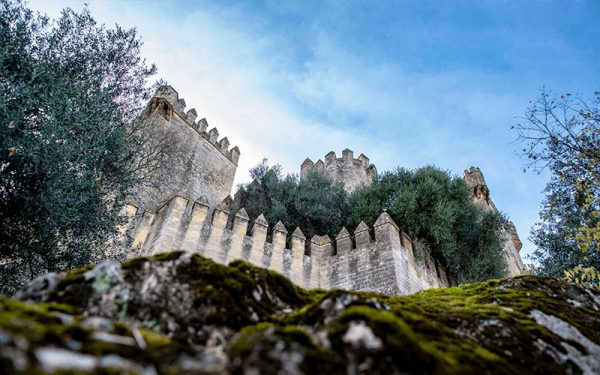 Castillo de Almodóvar - Imagen 12