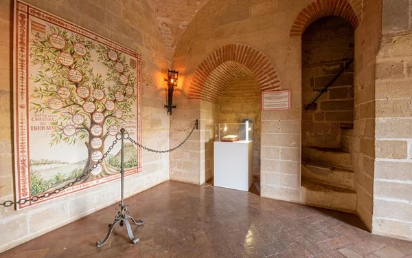 Castillo de Almodóvar - Imagen 2