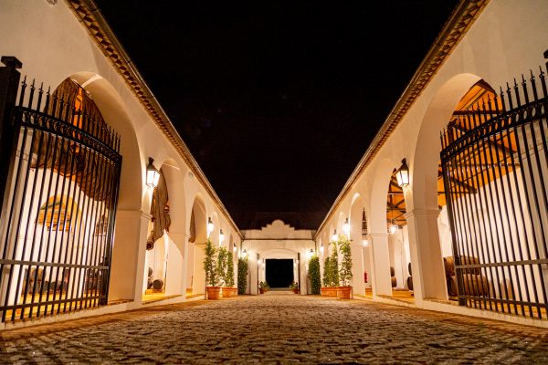 Bodegas Alvear - Imagen 6
