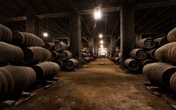 Bodegas Alvear - Imagen 8
