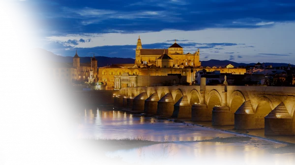 MEZQUITA CATEDRAL - Imagen 6