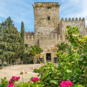 Castillo Ducal De Espejo