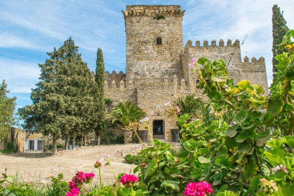 Castillo Ducal De Espejo