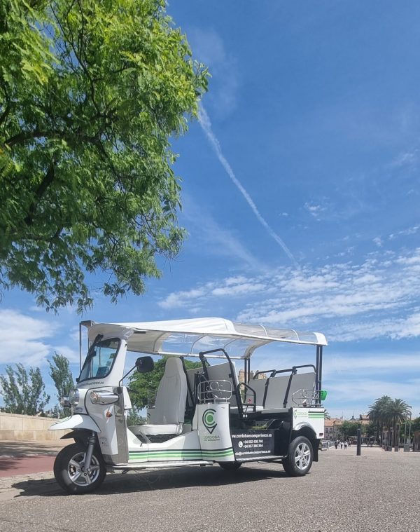Tour en Tuk Tuk por Córdoba - Imagen 2
