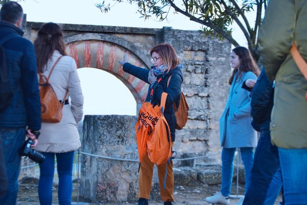 Visita guiada por Medina Azahara - Imagen 4