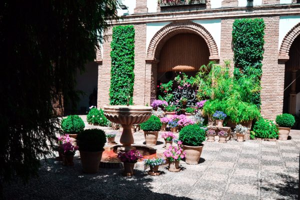Palacio de Viana y sus patios - Imagen 4