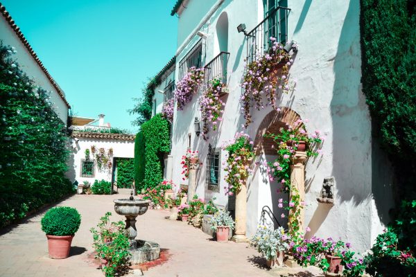 Patios de Córdoba - Imagen 2