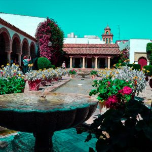 Palacio de Viana y sus patios