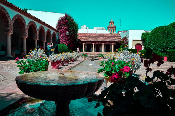 Palacio de Viana y sus patios