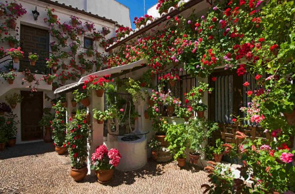 Patios de Córdoba - Imagen 5