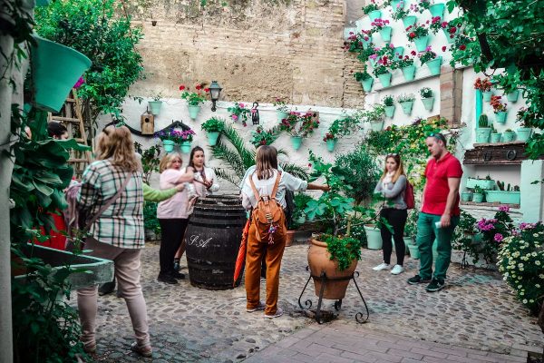 Patios de Córdoba - Imagen 4