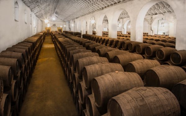 Bodegas Pérez Barquero - Imagen 5