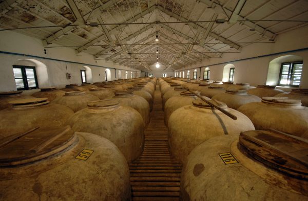 Bodegas Pérez Barquero - Imagen 7