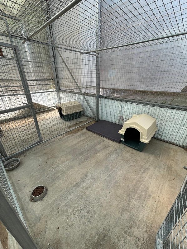 Maskotas Hotel Canino Córdoba - Imagen 7