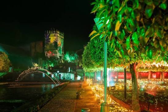Naturaleza Encendida Córdoba - Imagen 4